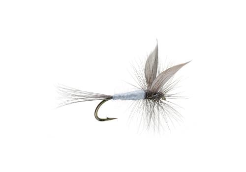 Blue Dun Fly Fishing Flies Blue Dun Fly Fishing Flies